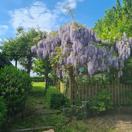 Sommer Nyaraló Nordborg